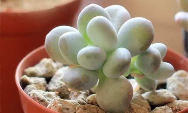 /UploadFiles/image/2018-08-27/5b83c2cd77b8d.jpg 640 (1).webp (14).jpg