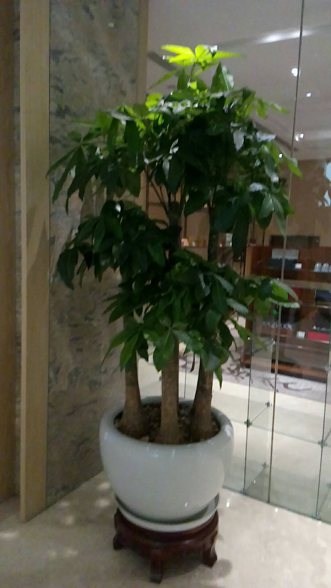 /UploadFiles/image/2018-09-12/5b98beace1276.jpg /UploadFiles/image/2018-09-12/5b98beace1276.jpg