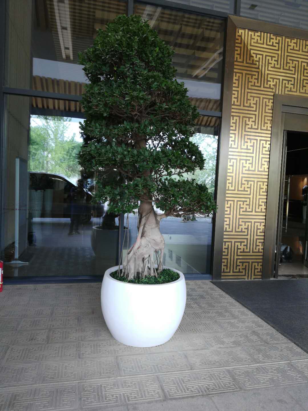 /UploadFiles/image/2018-09-12/5b98bead2cbb7.jpg /UploadFiles/image/2018-09-12/5b98bead2cbb7.jpg