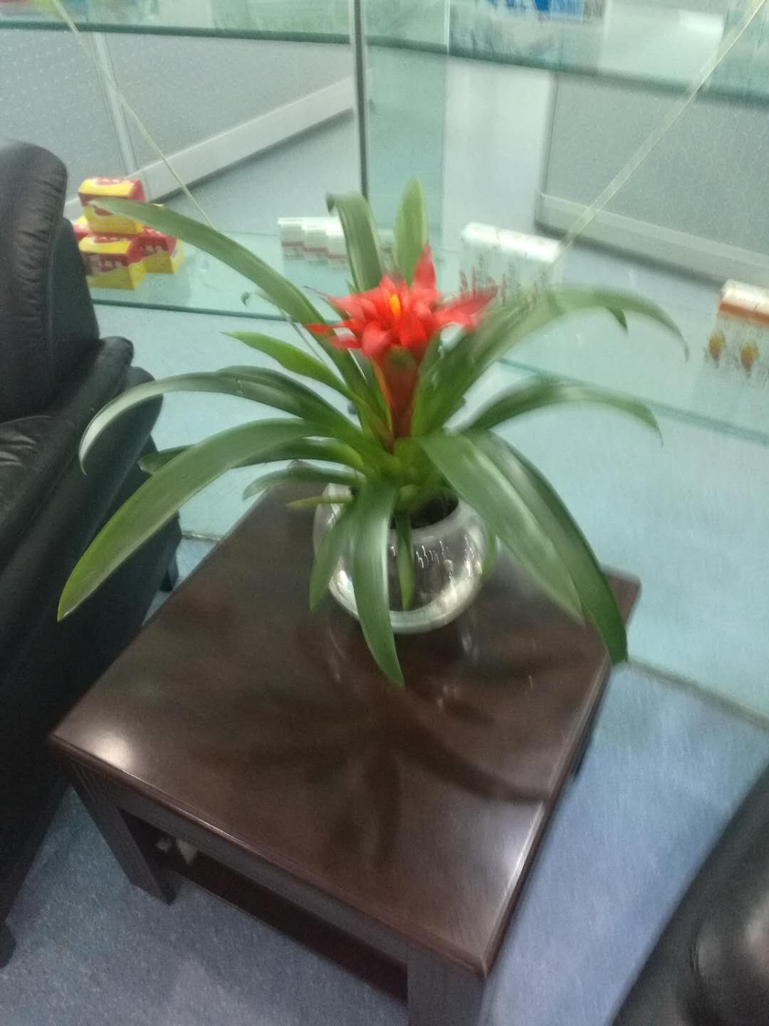 /UploadFiles/image/2018-09-12/5b98c073a2da7.jpg /UploadFiles/image/2018-09-12/5b98c073a2da7.jpg