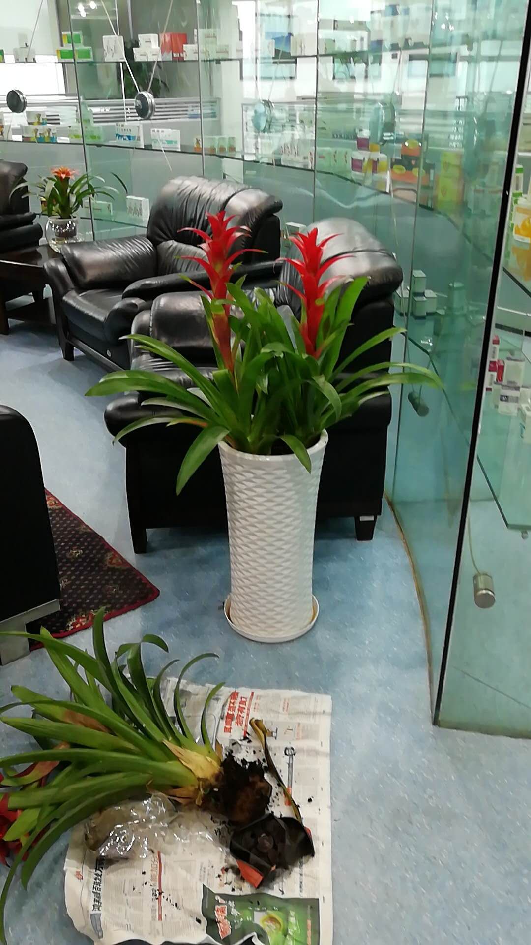 /UploadFiles/image/2018-09-12/5b98c073e3186.jpg /UploadFiles/image/2018-09-12/5b98c073e3186.jpg