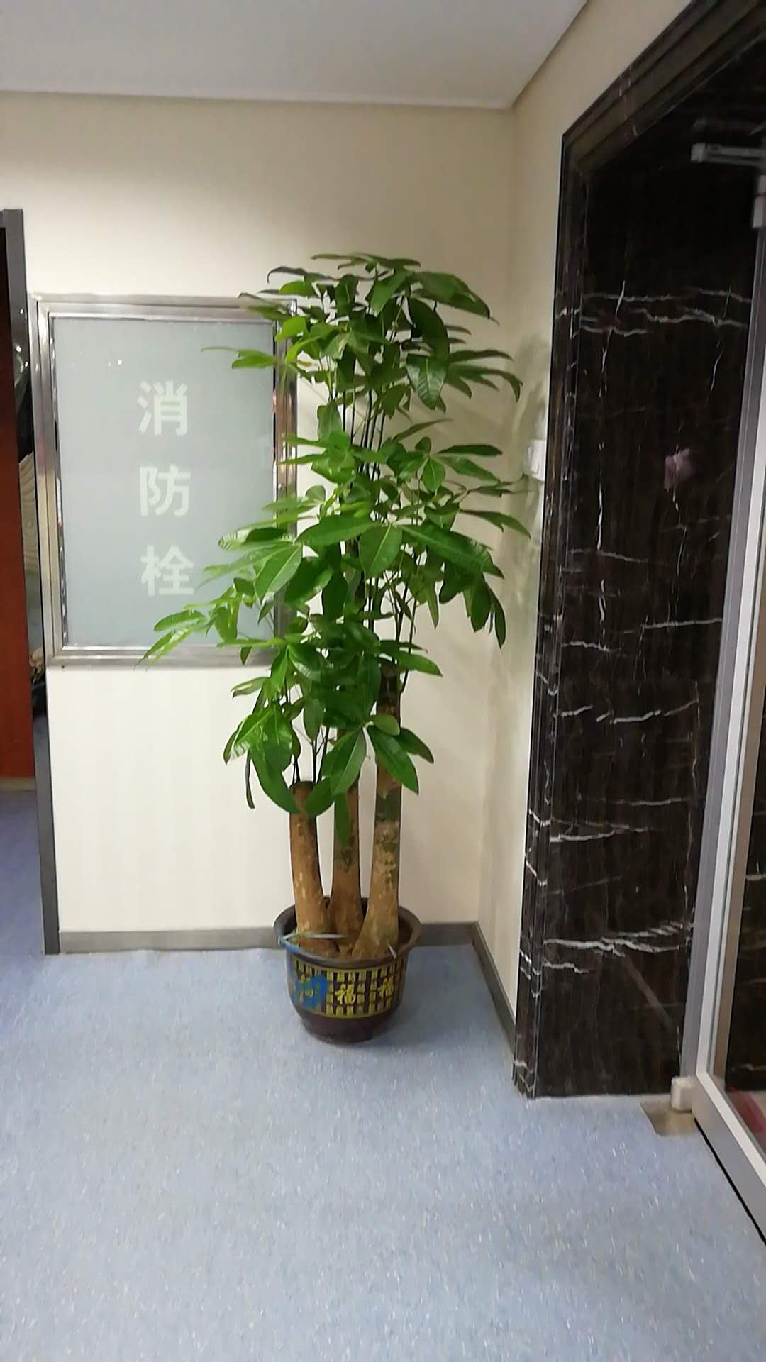 /UploadFiles/image/2018-09-12/5b98c074559cf.jpg /UploadFiles/image/2018-09-12/5b98c074559cf.jpg