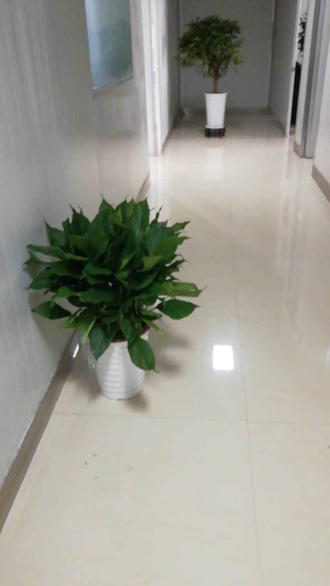 /UploadFiles/image/2018-09-12/5b98c074941d3.jpg /UploadFiles/image/2018-09-12/5b98c074941d3.jpg