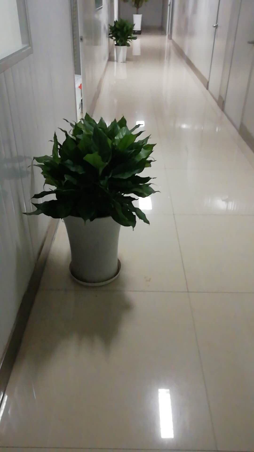 /UploadFiles/image/2018-09-12/5b98c074c5286.jpg /UploadFiles/image/2018-09-12/5b98c074c5286.jpg