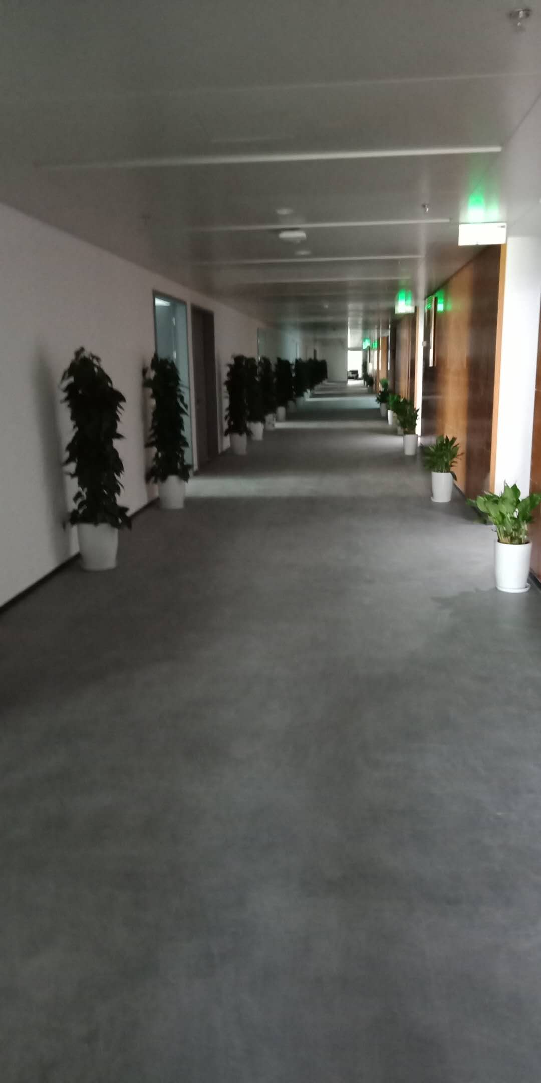 /UploadFiles/image/2018-09-12/5b98c183ab19a.jpg /UploadFiles/image/2018-09-12/5b98c183ab19a.jpg