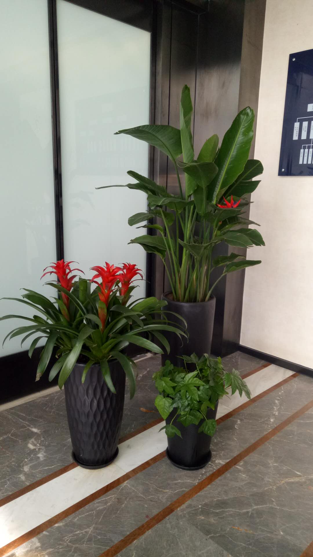 /UploadFiles/image/2018-09-12/5b98c2a6dd95c.jpg /UploadFiles/image/2018-09-12/5b98c2a6dd95c.jpg