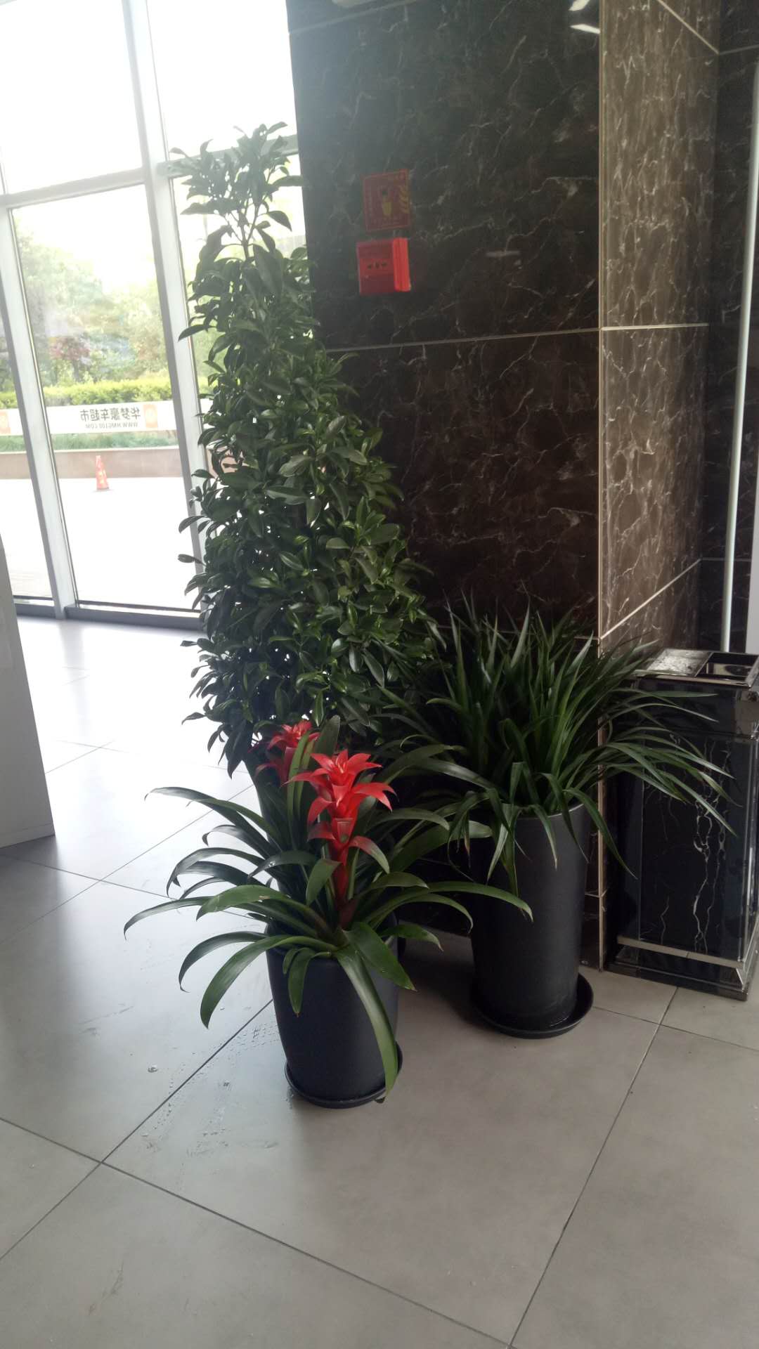 /UploadFiles/image/2018-09-12/5b98c2a70d7c4.jpg /UploadFiles/image/2018-09-12/5b98c2a70d7c4.jpg