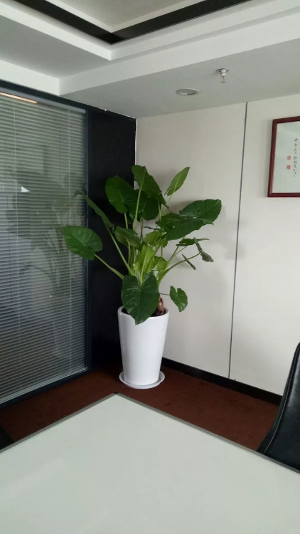 /UploadFiles/image/2018-09-12/5b98c2a76e6c3.jpg /UploadFiles/image/2018-09-12/5b98c2a76e6c3.jpg