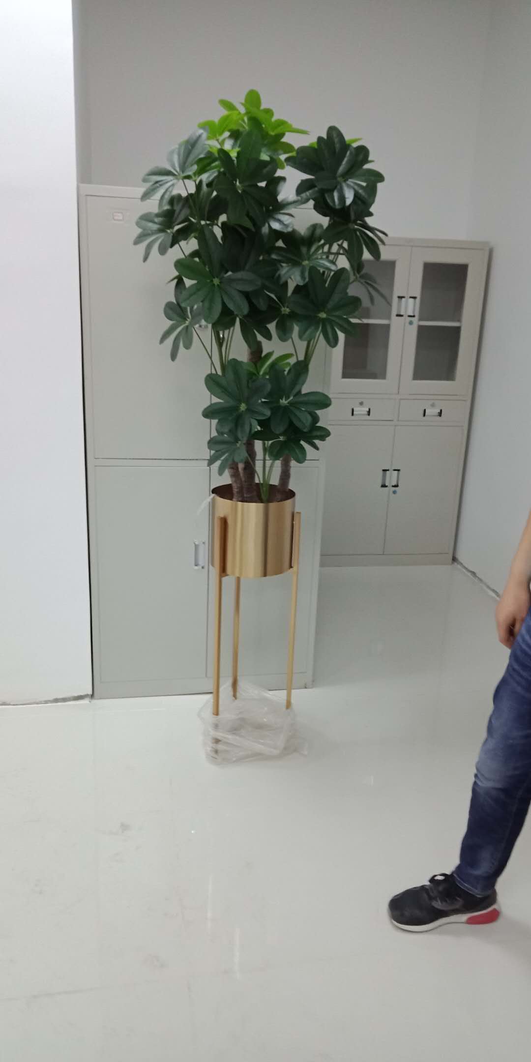 /UploadFiles/image/2018-09-12/5b98c5628ad27.jpg /UploadFiles/image/2018-09-12/5b98c5628ad27.jpg