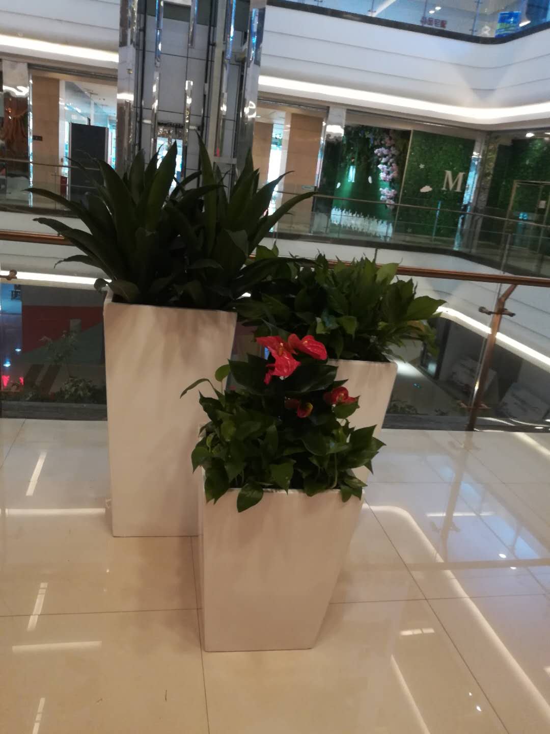 /UploadFiles/image/2018-09-12/5b98c6ecb4193.jpg /UploadFiles/image/2018-09-12/5b98c6ecb4193.jpg