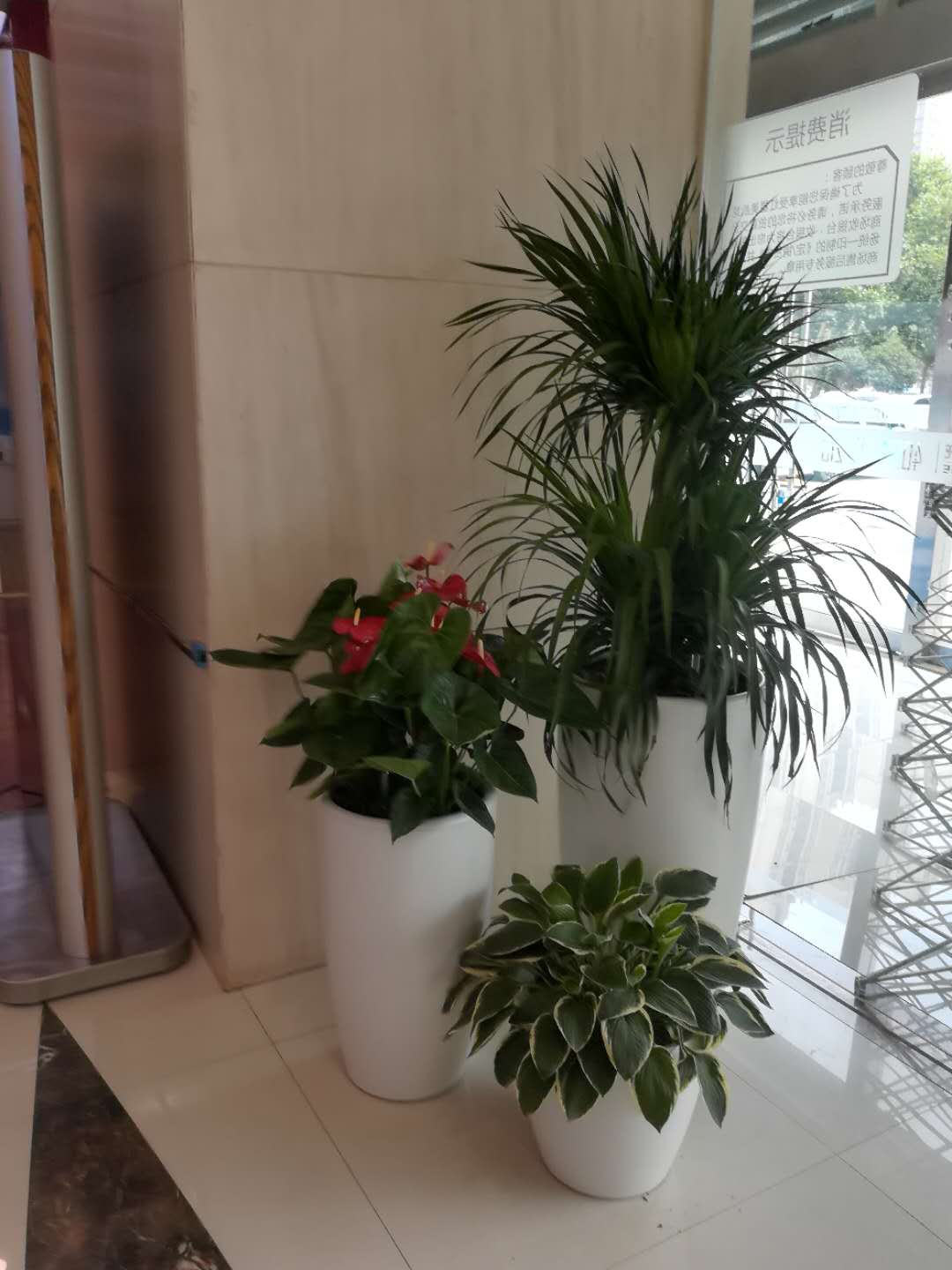 /UploadFiles/image/2018-09-12/5b98c6ee65ead.jpg /UploadFiles/image/2018-09-12/5b98c6ee65ead.jpg