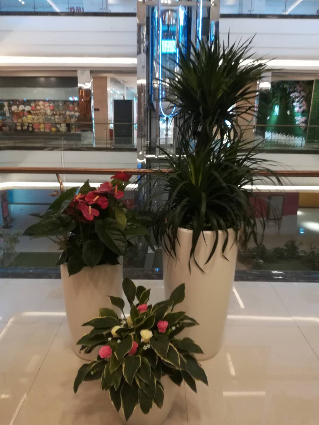 /UploadFiles/image/2018-09-12/5b98c6ef3363e.jpg /UploadFiles/image/2018-09-12/5b98c6ef3363e.jpg