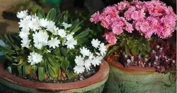 /UploadFiles/image/2018-09-21/5ba454a3b6681.jpg /UploadFiles/image/2018-09-21/5ba454a3b6681.jpg