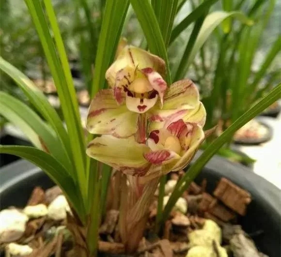 /UploadFiles/image/2018-09-21/5ba455c7855a9.jpg 640 (1).webp (5).jpg