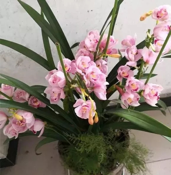 /UploadFiles/image/2018-09-21/5ba455dea3232.jpg 640 (1).webp (6).jpg