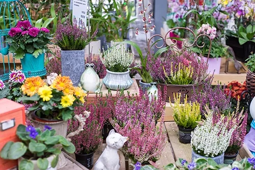 /UploadFiles/image/2018-11-14/5beb715c5cec2.jpg 640.webp.jpg