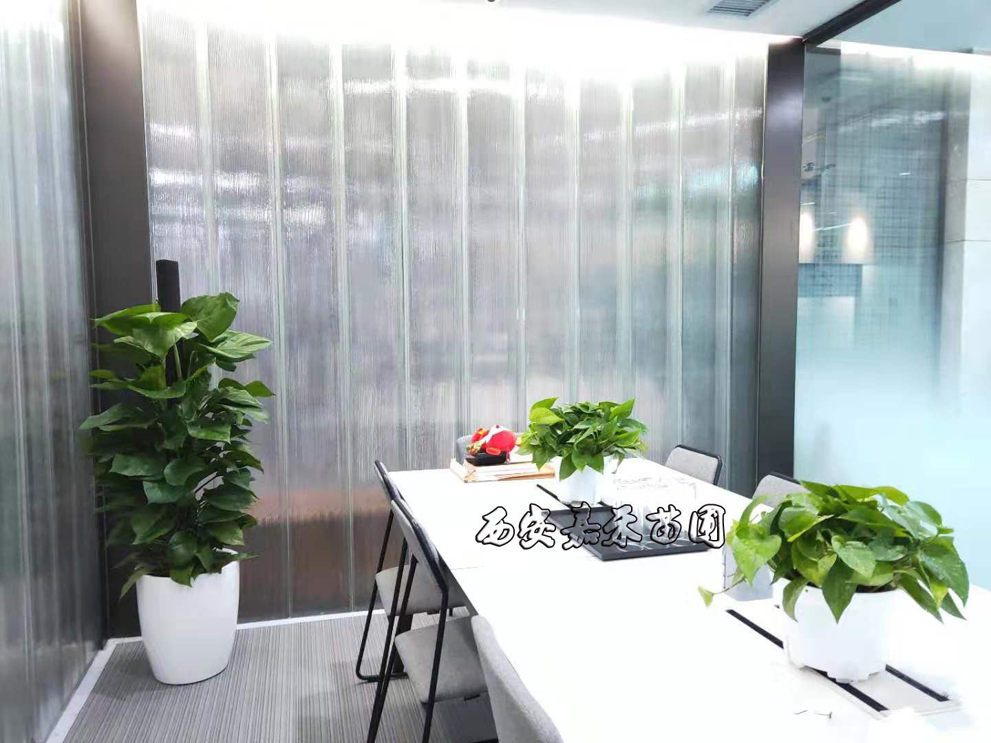 /UploadFiles/image/2020-01-07/5e1422f7d7859.jpg /UploadFiles/image/2020-01-07/5e1422f7d7859.jpg