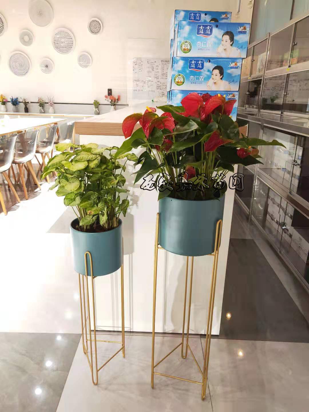 /UploadFiles/image/2020-01-07/5e1422fbf3ef3.jpg /UploadFiles/image/2020-01-07/5e1422fbf3ef3.jpg