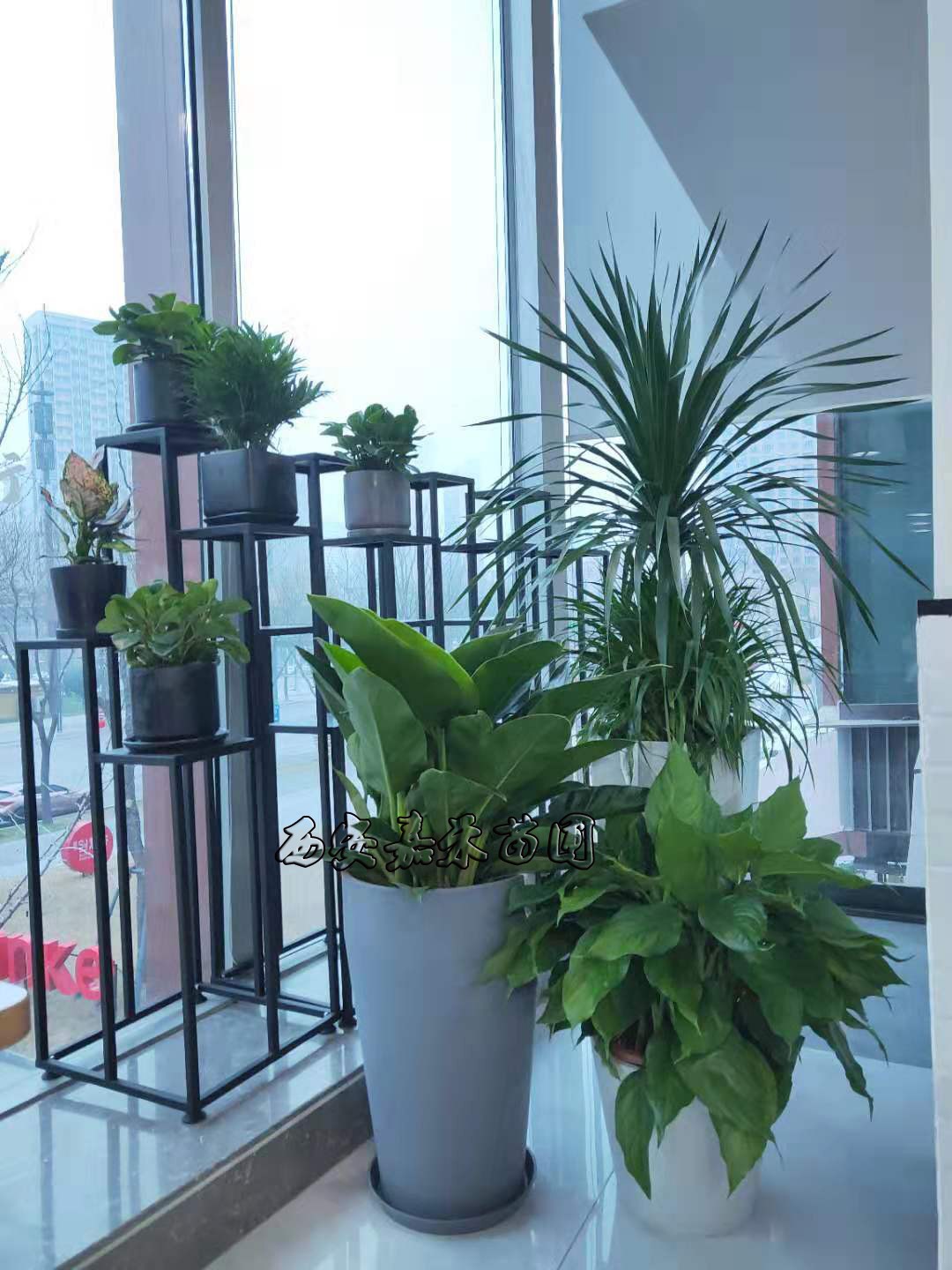 /UploadFiles/image/2020-01-07/5e1422febb1d4.jpg /UploadFiles/image/2020-01-07/5e1422febb1d4.jpg