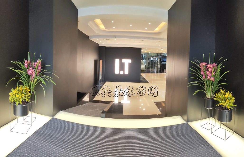 /UploadFiles/image/2020-03-10/5e66edb0c3e6d.jpg /UploadFiles/image/2020-03-10/5e66edb0c3e6d.jpg