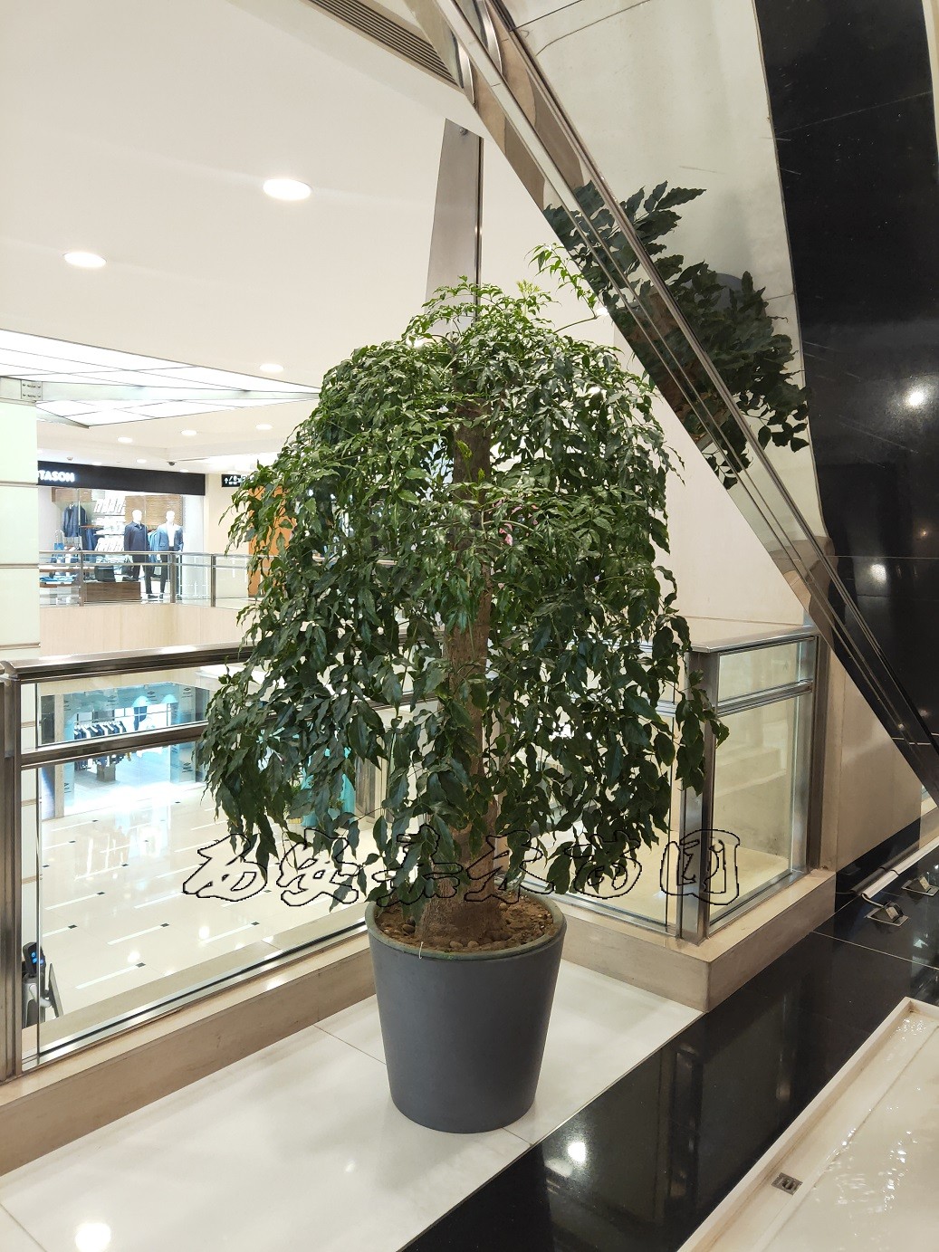 /UploadFiles/image/2020-03-10/5e66edb25d83e.jpg /UploadFiles/image/2020-03-10/5e66edb25d83e.jpg