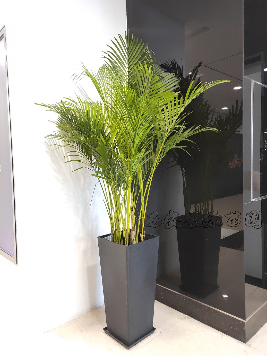 /UploadFiles/image/2020-03-10/5e66edc61f9e8.jpg /UploadFiles/image/2020-03-10/5e66edc61f9e8.jpg