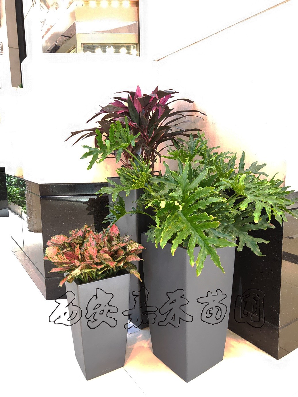 /UploadFiles/image/2020-03-10/5e66edc789501.jpg /UploadFiles/image/2020-03-10/5e66edc789501.jpg