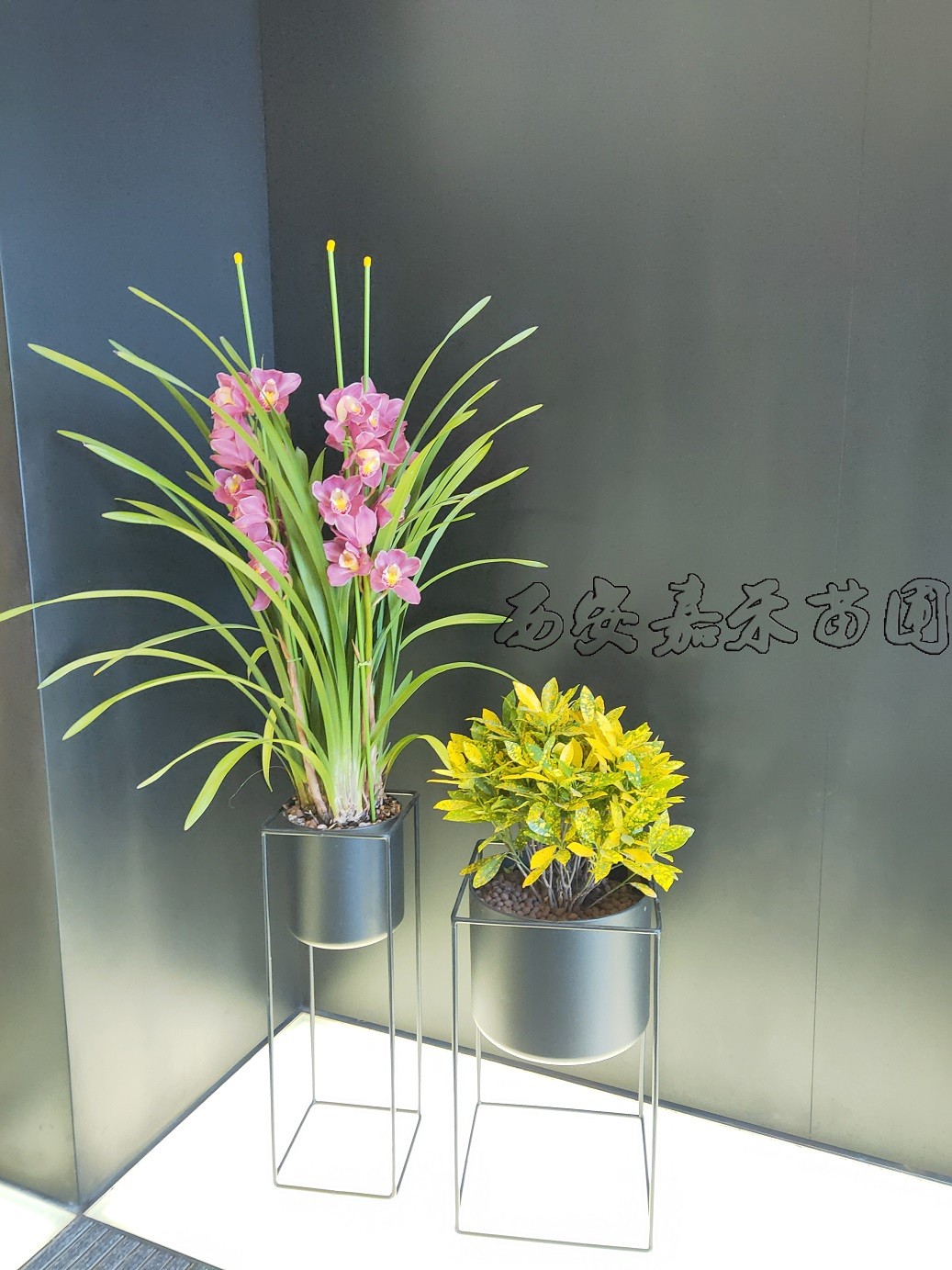 /UploadFiles/image/2020-03-10/5e66edd14676c.jpg /UploadFiles/image/2020-03-10/5e66edd14676c.jpg