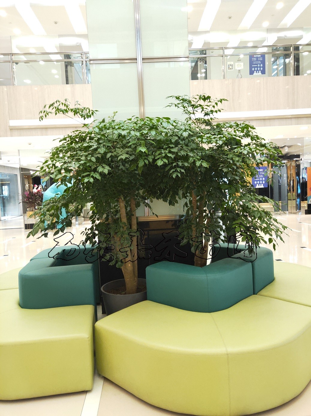 /UploadFiles/image/2020-03-10/5e66edd2aaff9.jpg /UploadFiles/image/2020-03-10/5e66edd2aaff9.jpg