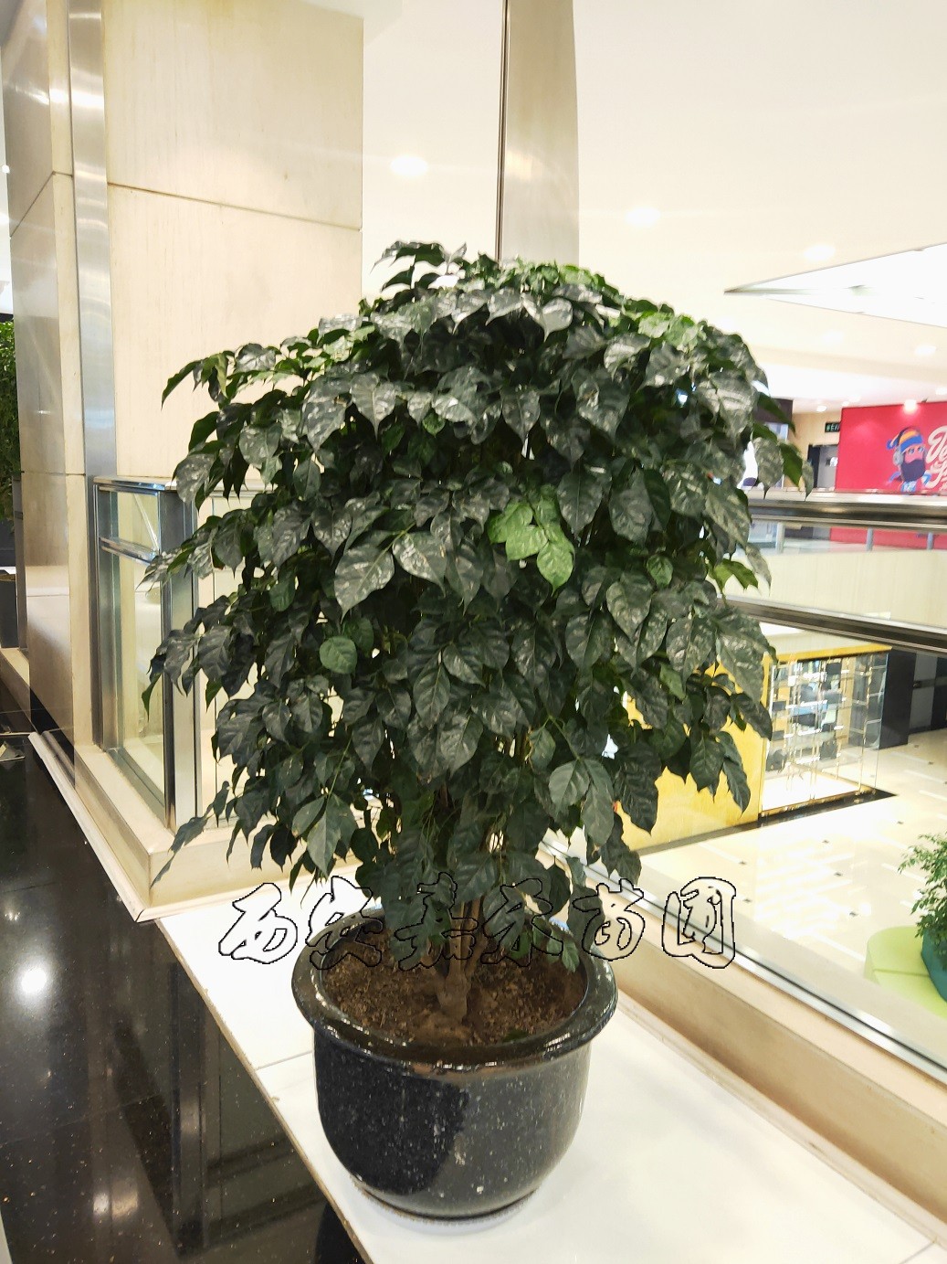 /UploadFiles/image/2020-03-10/5e66edd6d9c5f.jpg /UploadFiles/image/2020-03-10/5e66edd6d9c5f.jpg