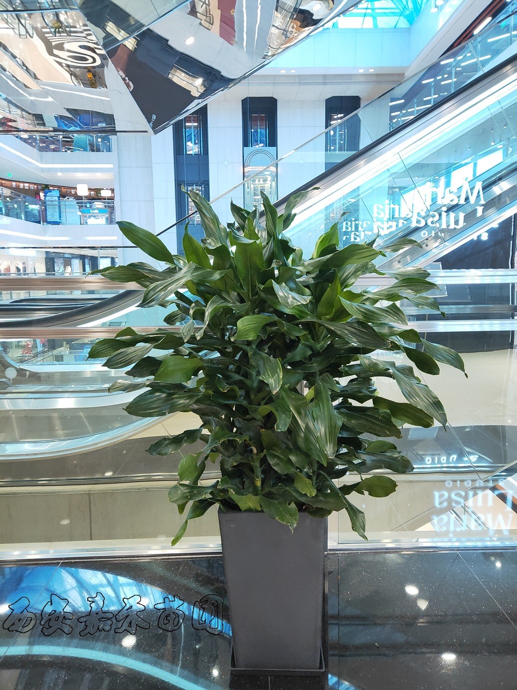 /UploadFiles/image/2020-03-10/5e66edd9a7c1b.jpg /UploadFiles/image/2020-03-10/5e66edd9a7c1b.jpg