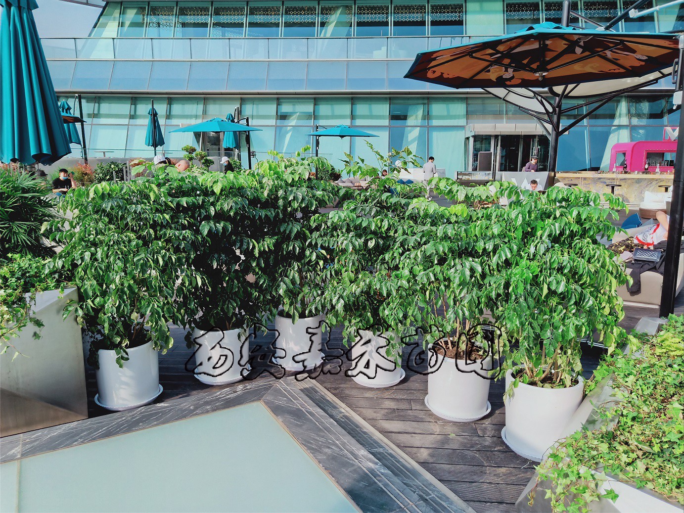 /UploadFiles/image/2020-04-28/5ea785e888910.jpg /UploadFiles/image/2020-04-28/5ea785e888910.jpg