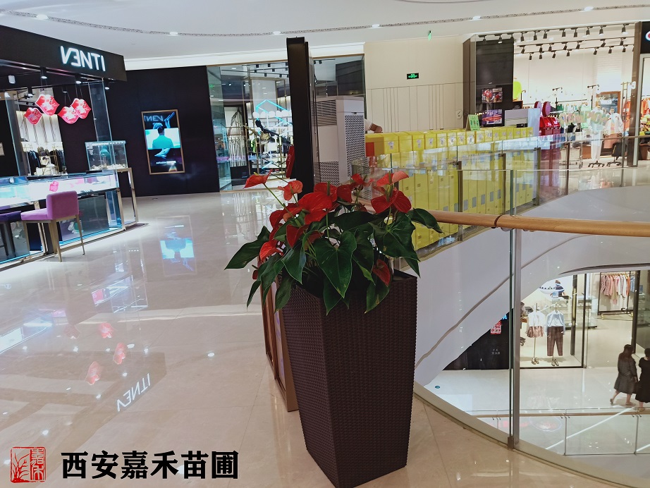 /UploadFiles/image/2020-05-21/5ec5e308749f0.jpg /UploadFiles/image/2020-05-21/5ec5e308749f0.jpg