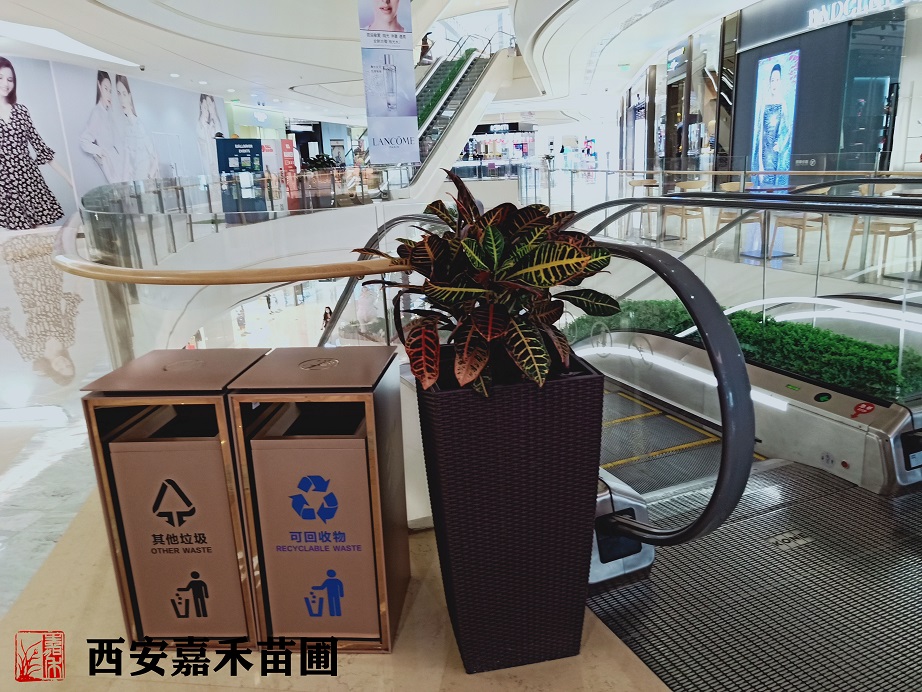 /UploadFiles/image/2020-05-21/5ec5e30b3c137.jpg /UploadFiles/image/2020-05-21/5ec5e30b3c137.jpg