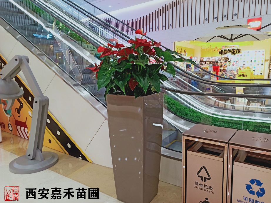 /UploadFiles/image/2020-05-21/5ec5e3126cbd0.jpg /UploadFiles/image/2020-05-21/5ec5e3126cbd0.jpg