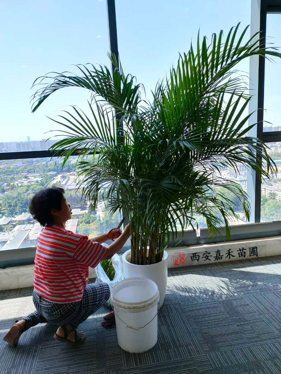 /UploadFiles/image/2020-10-19/5f8d335f615e9.jpg /UploadFiles/image/2020-10-19/5f8d335f615e9.jpg