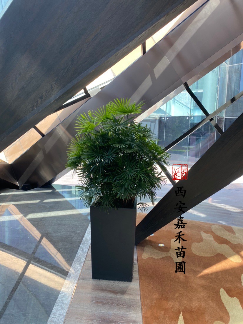 /UploadFiles/image/2020-10-19/5f8d3360df21e.jpg /UploadFiles/image/2020-10-19/5f8d3360df21e.jpg