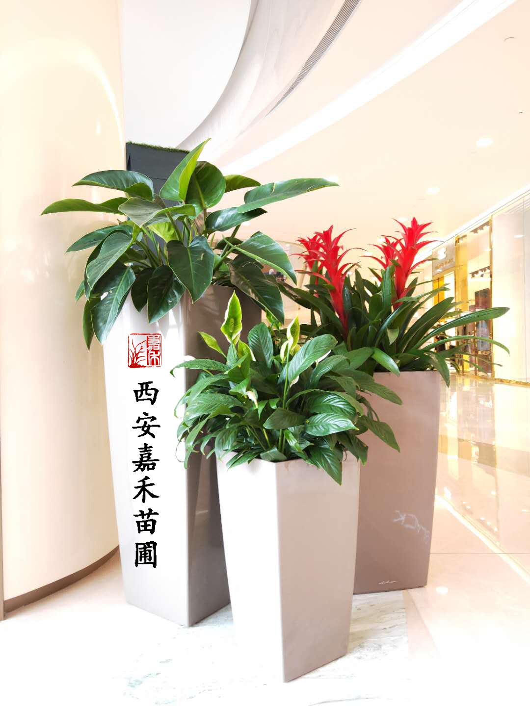 /UploadFiles/image/2020-10-19/5f8d3363d0a0d.jpg /UploadFiles/image/2020-10-19/5f8d3363d0a0d.jpg