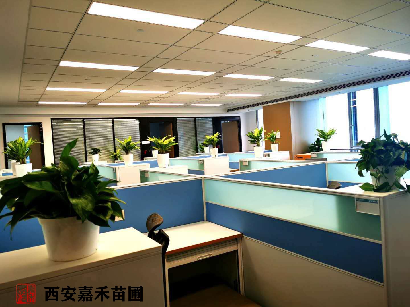 /UploadFiles/image/2020-12-07/5fcd85e16f8fd.jpg /UploadFiles/image/2020-12-07/5fcd85e16f8fd.jpg