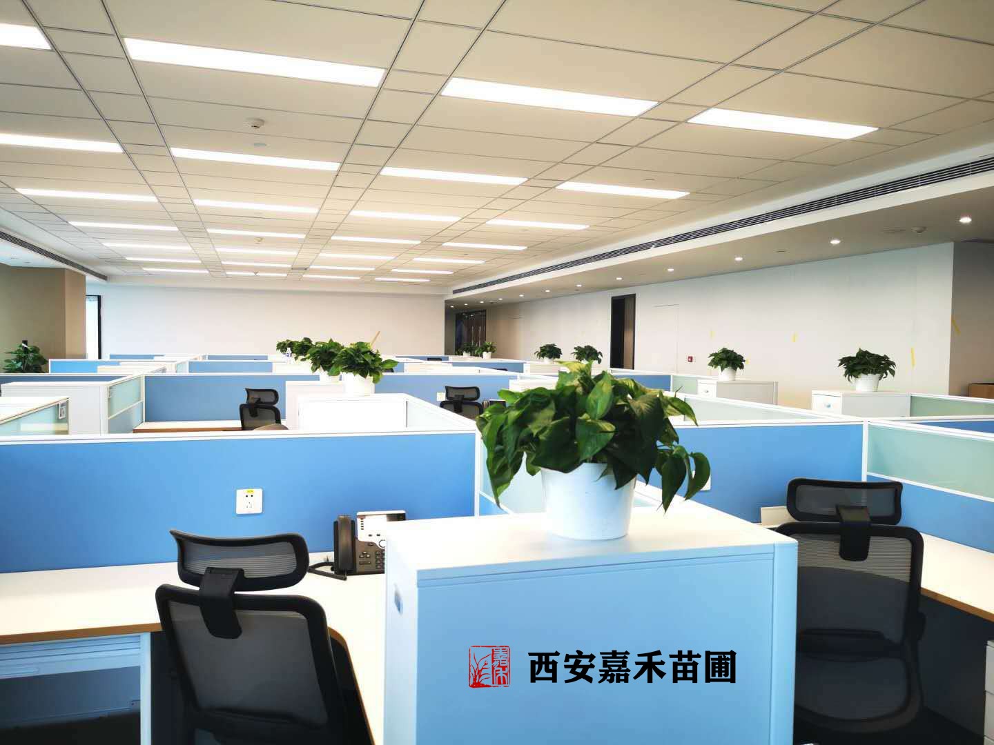 /UploadFiles/image/2020-12-07/5fcd85e339df2.jpg /UploadFiles/image/2020-12-07/5fcd85e339df2.jpg