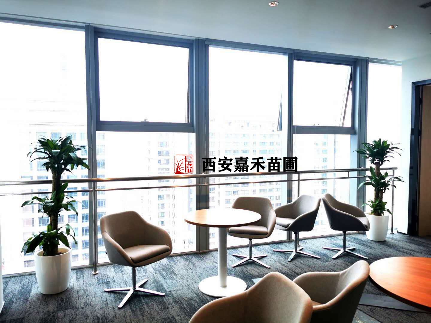 /UploadFiles/image/2020-12-07/5fcd85e49ac0c.jpg /UploadFiles/image/2020-12-07/5fcd85e49ac0c.jpg