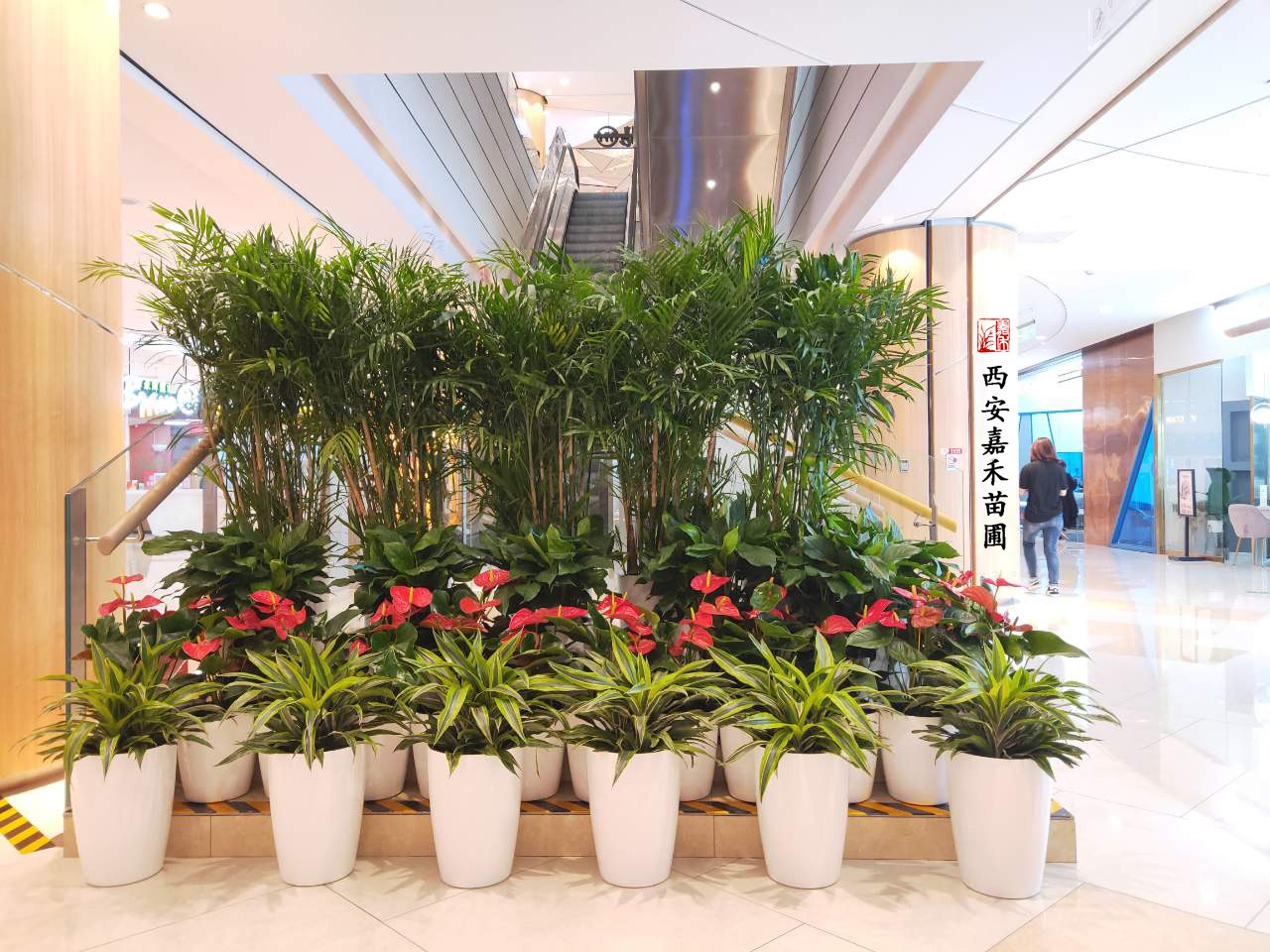 /UploadFiles/image/2020-12-07/5fcdbf1bada59.jpg /UploadFiles/image/2020-12-07/5fcdbf1bada59.jpg