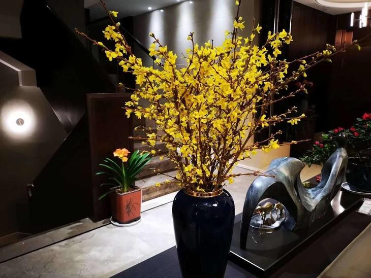 西安寸寸金租擺租賃 西安寸寸金租擺租賃