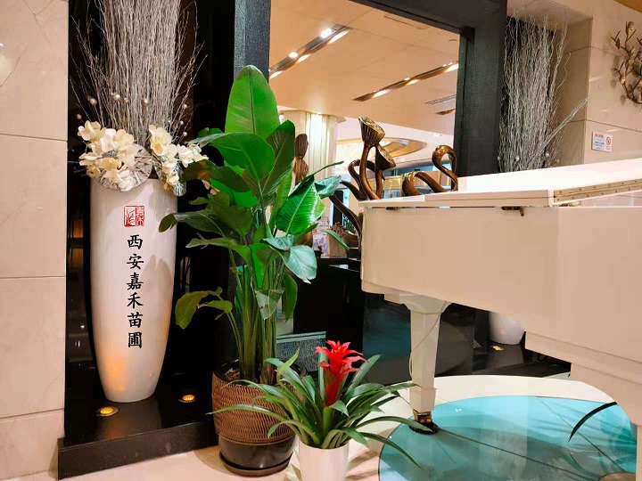 西安嘉禾苗圃鶴望蘭花卉租賃