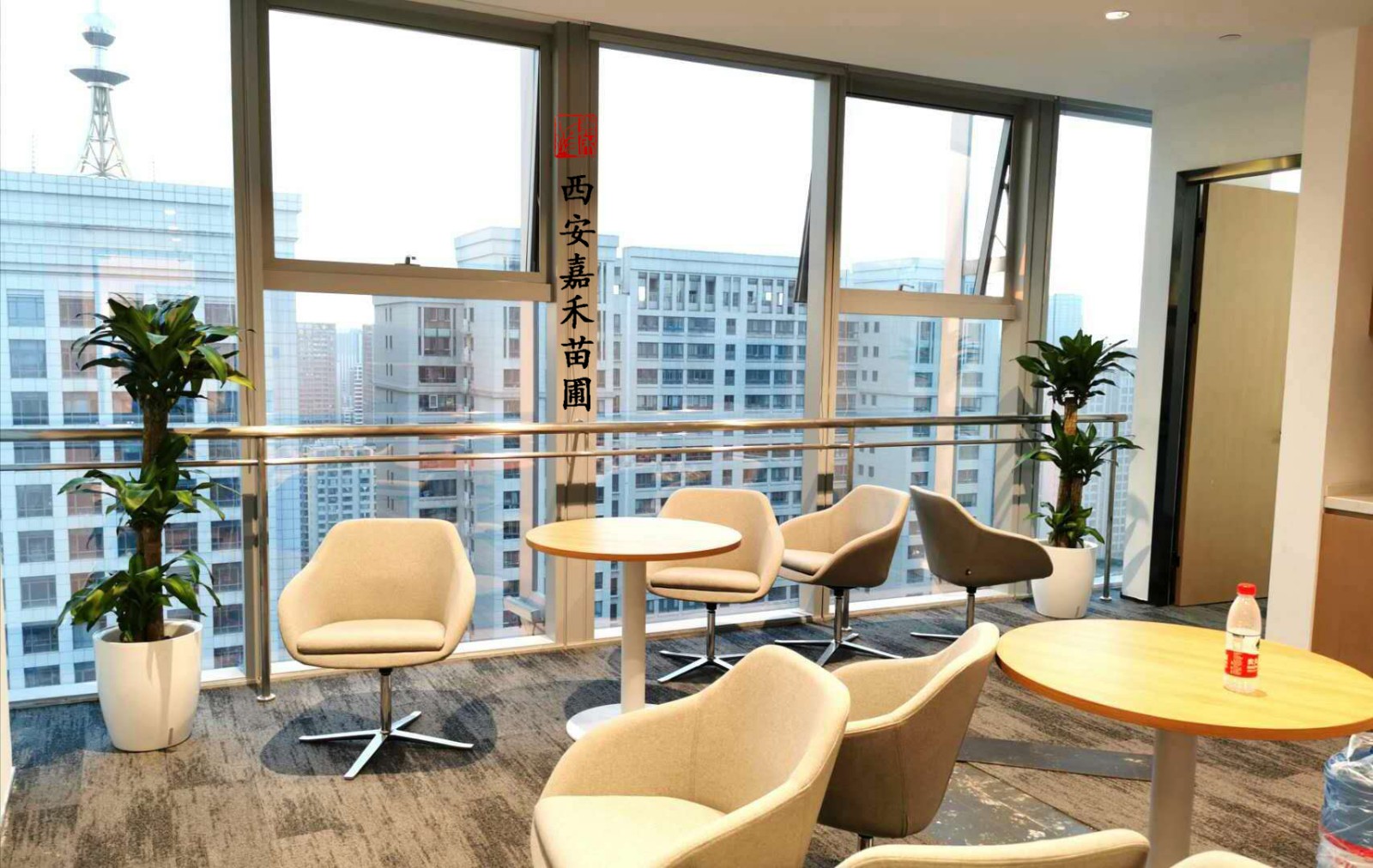 西安嘉禾苗圃巴西木租賃