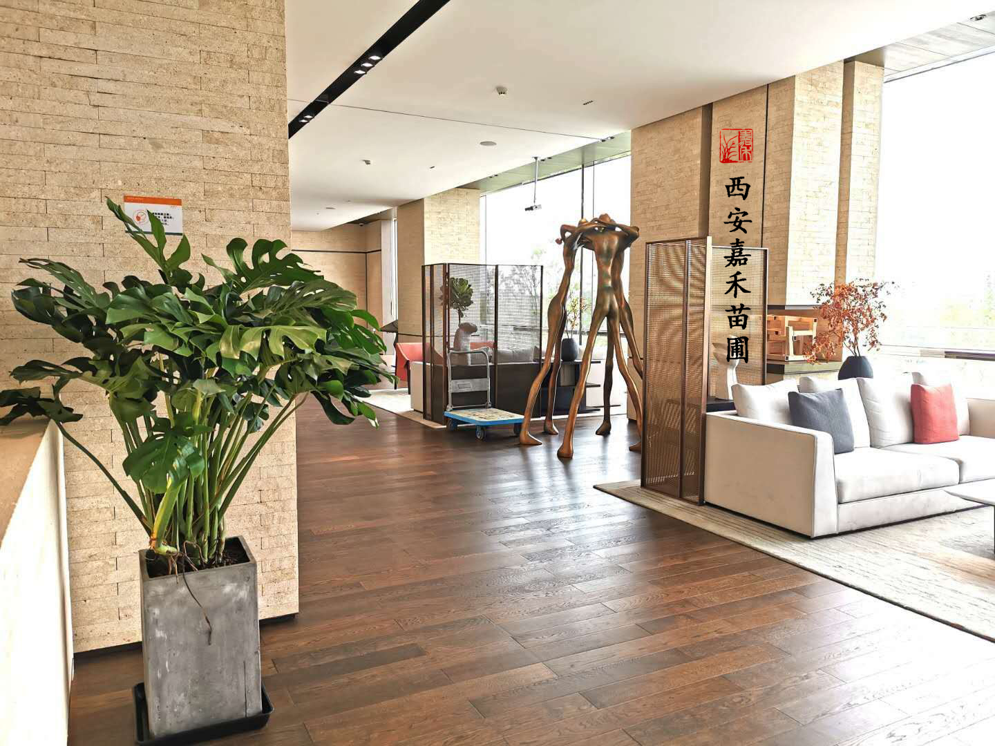 西安綠植租賃流程——嘉禾苗圃