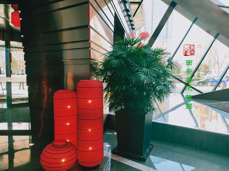 西安綠植租擺口碑好公司——嘉禾苗圃