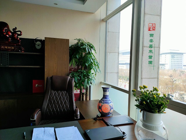 西安辦公室綠植租擺|嘉禾苗圃 西安辦公室綠植租擺|嘉禾苗圃
