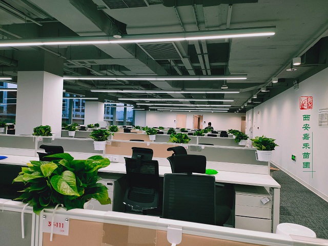 西安辦公室綠植租賃|嘉禾苗圃 西安辦公室綠植租賃|嘉禾苗圃