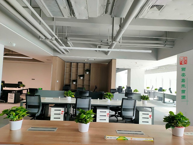 西安辦公室花卉租擺|嘉禾苗圃 西安辦公室花卉租擺|嘉禾苗圃